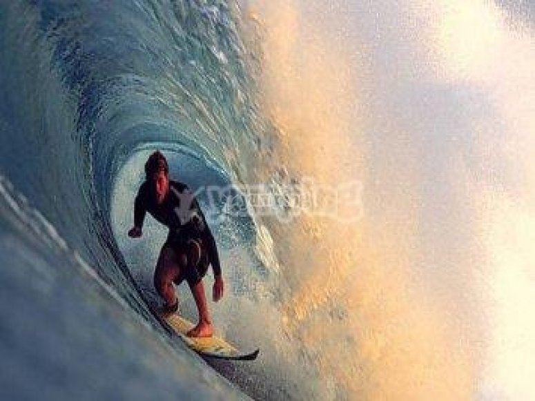 Descubre la vida surfera /tb_tablas de surf3.jpg